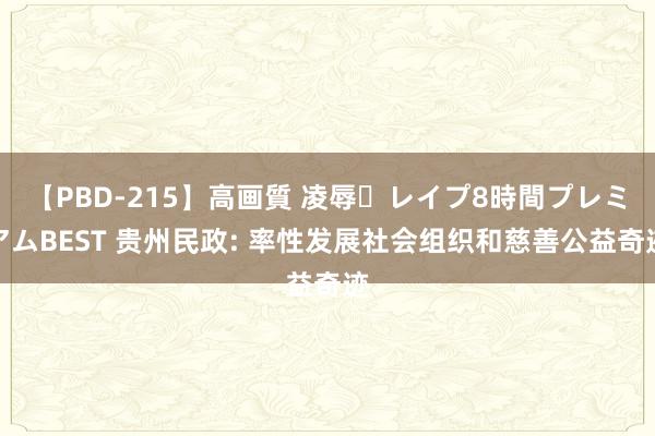 【PBD-215】高画質 凌辱・レイプ8時間プレミアムBEST 贵州民政: 率性发展社会组织和慈善公益奇迹