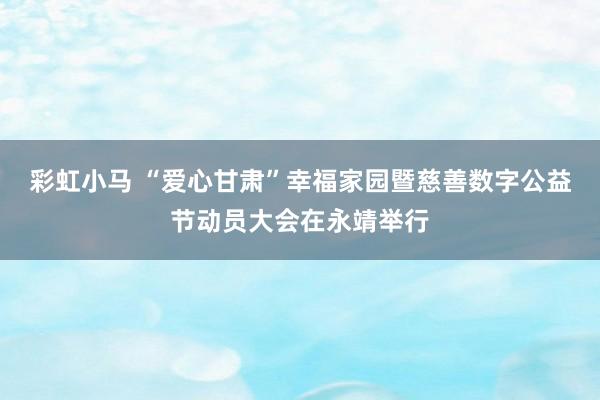 彩虹小马 “爱心甘肃”幸福家园暨慈善数字公益节动员大会在永靖举行