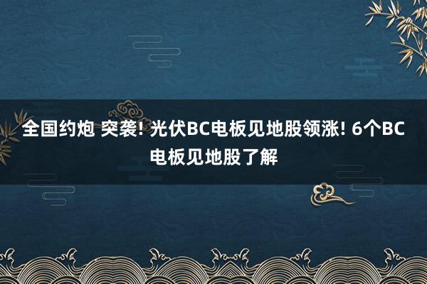 全国约炮 突袭! 光伏BC电板见地股领涨! 6个BC电板见地股了解