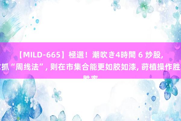 【MILD-665】極選！潮吹き4時間 6 炒股, 掌抓“周线法”, 则在市集合能更如胶如漆, 莳植操作胜率