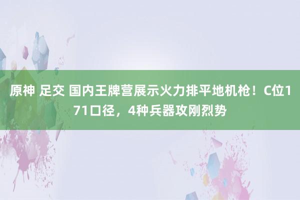 原神 足交 国内王牌营展示火力排平地机枪！C位171口径，4种兵器攻刚烈势