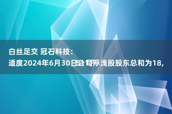 白丝足交 冠石科技：
适度2024年6月30日公司浮浅股股东总和为18,511户