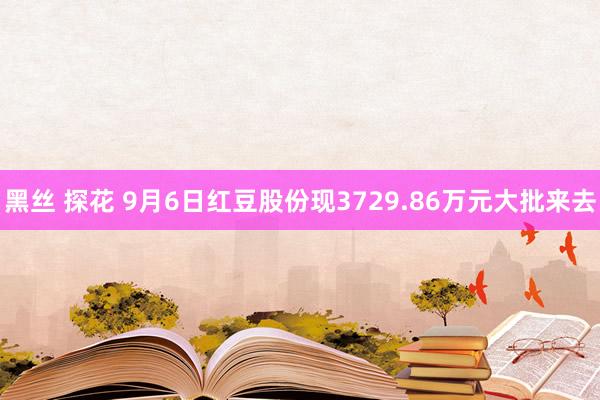 黑丝 探花 9月6日红豆股份现3729.86万元大批来去