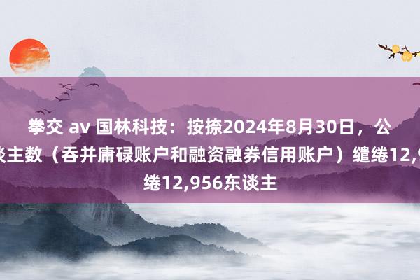 拳交 av 国林科技：按捺2024年8月30日，公司鞭策东谈主数（吞并庸碌账户和融资融券信用账户）缱绻12,956东谈主