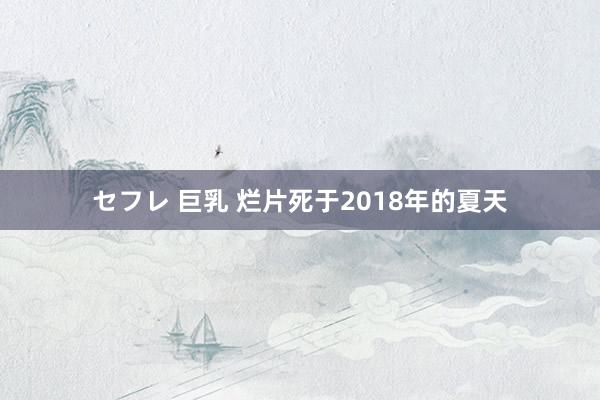 セフレ 巨乳 烂片死于2018年的夏天