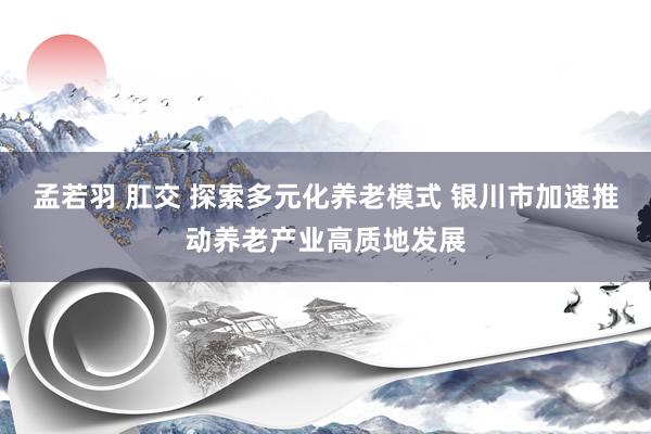 孟若羽 肛交 探索多元化养老模式 银川市加速推动养老产业高质地发展