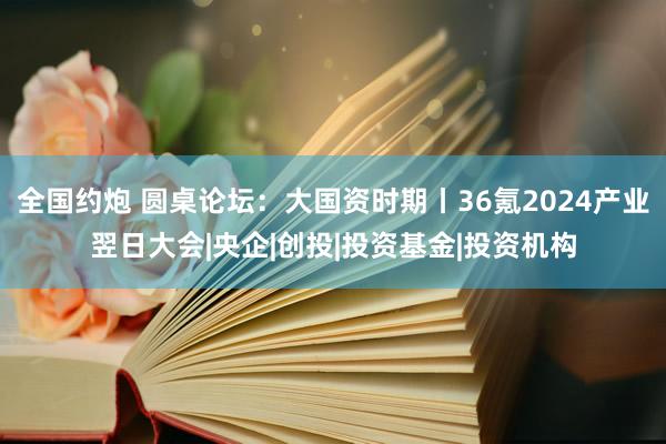 全国约炮 圆桌论坛：大国资时期丨36氪2024产业翌日大会|央企|创投|投资基金|投资机构